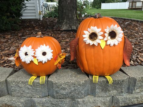 Owl pumpkins with flower eyes and forks for feet Owl Pumpkin Carving, Decorating Pumpkins, Pumkin Decoration, Flower Eyes, Creative Pumpkin Decorating, Cute Pumpkin Carving, Owl Pumpkin, Pumpkin Decorating Contest, No Carve Pumpkin Decorating