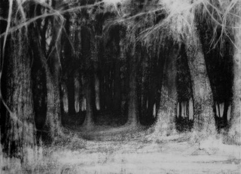 The forest designs I have researched inspire me by the use of colour. The palette sticks to blues and greens but makes the image look magical and work really well to also look realistic. I also like this design with the use of darkness. It looks haunting and dark and would work well with charcoal and white chalk. John Virtue, Charcoal Inspiration, Landscape Sketching, Silverpoint Drawing, Expressive Drawing, Dark Forests, Muted Landscape, Charcoal Artwork, Forest Designs