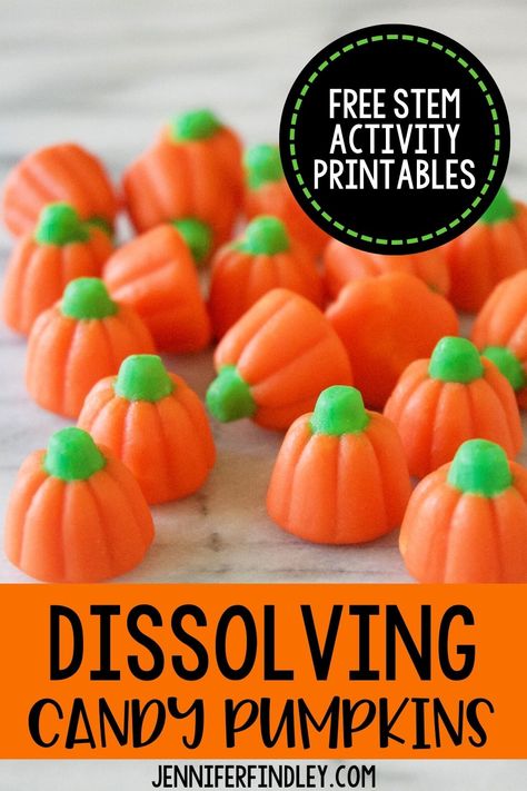 Make science come alive with this dissolving candy pumpkins STEM experiment! Check out the post to grab your free printables to go with the activity. Candy Pumpkin Preschool Activities, Candy Pumpkin Stem, Candy Pumpkins, Candy Pumpkin Activities, Easy Halloween Science Experiments, Candy Pumpkin Ideas, Halloween States Of Matter Activities, Pumpkin Jack Experiment, Candy Pumpkin Experiment