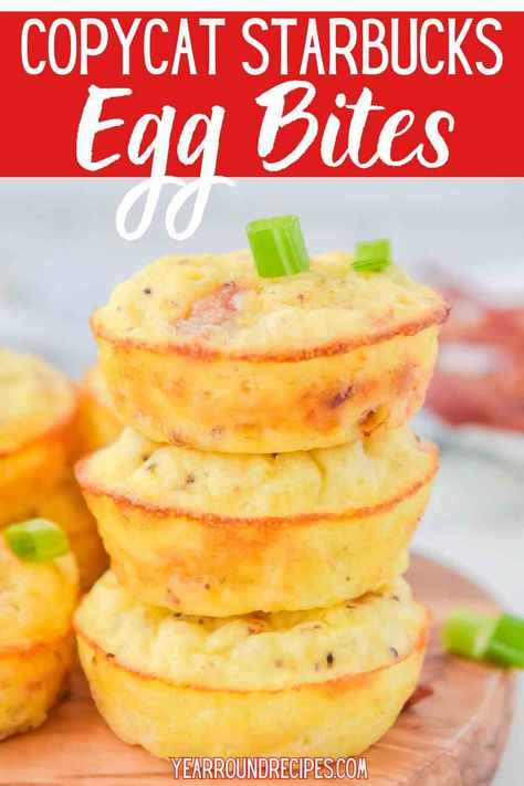 Egg Bite Recipes In Oven, Egg Bites In The Oven, Egg Bite Recipes, Copycat Starbucks Egg Bites, Starbucks Egg Bites Recipe, Starbucks Egg Bites, Egg Bites Recipe, Copycat Starbucks, Starbucks Copycat