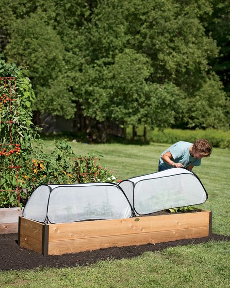 Gardening Supplies, Raised Beds, Pots, Planters, Tools + More Garden Cloche, Row Covers, Greenhouse Fabrics, Survival Gardening, Vegetable Storage, Plant Covers, Garden Types, Mini Greenhouse, Plant Protection