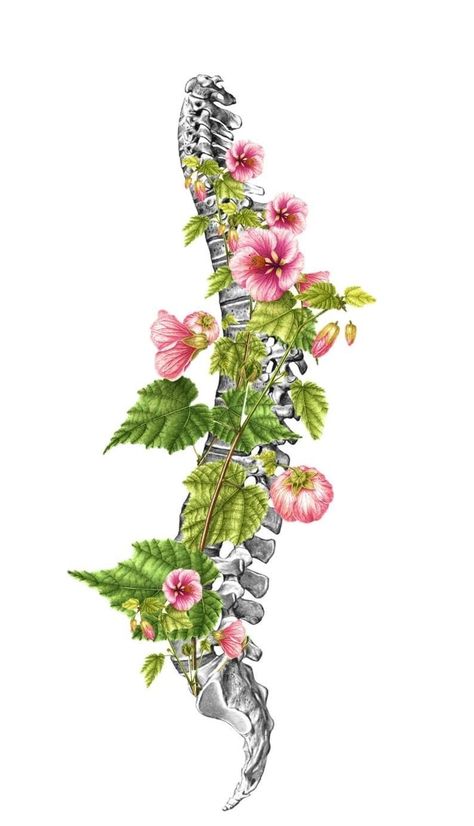 Spine With Flowers, Spine Drawing, Massage Art, Chiropractic Art, Flower Anatomy, Medical Artwork, Line Tattoo Ideas, Spinal Column, Biology Art