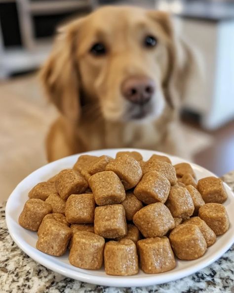 Apple Peanut Butter Bites for Dogs: A Nutritious and Delicious Homemade Treat - mydogrecipe Apple Dog Treat Recipes, Apple Banana Dog Treats, Apple Peanut Butter Dog Treats, Apple Dog Treats Homemade Easy, Peanut Butter Treats For Dogs, Peanut Butter Dog Treats Homemade, Apples For Dogs, Dog Treats Homemade Peanut Butter, Apple Dog Treats