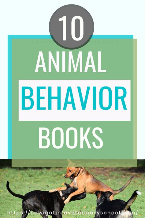 A pin on the best animal behavior books Books For Students, Animal Intelligence, Animal Behaviorist, Learned Behaviors, What Is A Bird, Animal Behavior, Cat Behavior, Selling Books, Dog Trainer