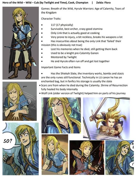 Linked Universe Characters, Linked Universe Fanart Wild, Wild Linked Universe, Linked Universe Comic, Linked Universe Wild, Lu Wild, Legend Of Zelda Aesthetic, Zelda Comics, Loz Botw