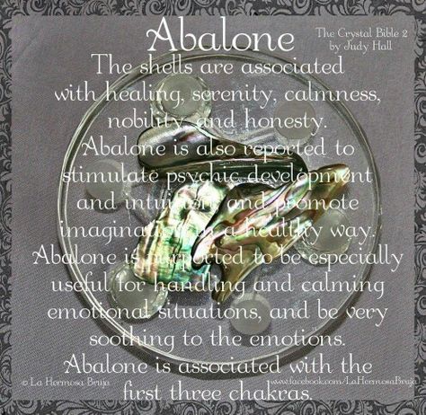 Shells thru out home. Abalone Shell Meaning, Abalone Meaning, Witchy Crystals, Healing Methods, Crystal Healer, Crystals Healing Properties, Crystal Therapy, Alternative Treatments, Crystal Healing Stones