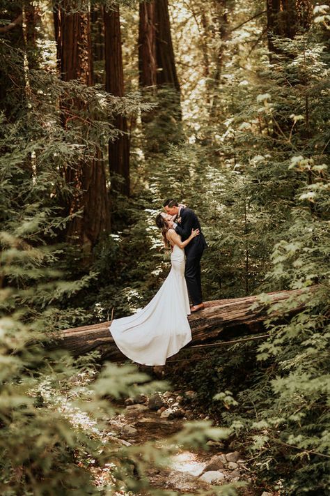 Glen Oaks Big Sur, Glen Oaks Big Sur Wedding, Big Sur Elopement, Big Sur Wedding, The Redwoods, Big Sur California, Wedding Elopement, Big Sur, The Coast