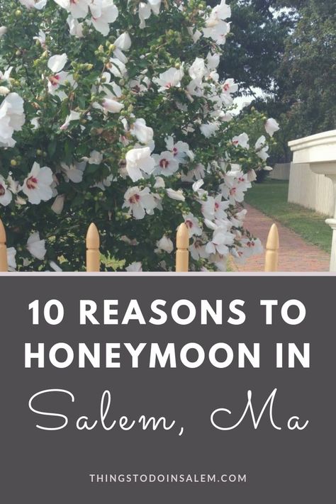 10 reasons why you should have your honey moon in Salem Massachusetts. Honeymoon destinations in New England. #salem #salemmassachusetts #salemma #massachusetts #honeymoon #destinationwedding #destinations #newengland Salem Massachusetts Wedding, England Honeymoon, Halloween In Salem, Marriage Registry, Things To Do In Massachusetts, Travel Photos Ideas, Things To Do In Salem, Popular Honeymoon Destinations, Witch City