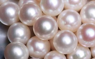 Pearl Astethic, Real Pearl Jewellery, Conch Pearl, White Pearl Jewelry, Jewelry Knowledge, Buy Pearls, Saltwater Pearls, Big Pearl, Pearl Design