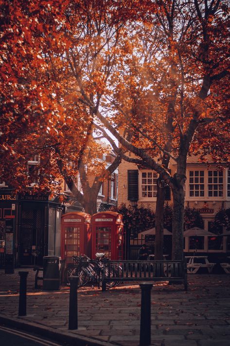 London Wallpaper, Aesthetic London, London Vibes, London Dreams, London Aesthetic, Fallen London, Autumn Scenes, Autumn Scenery, London Life