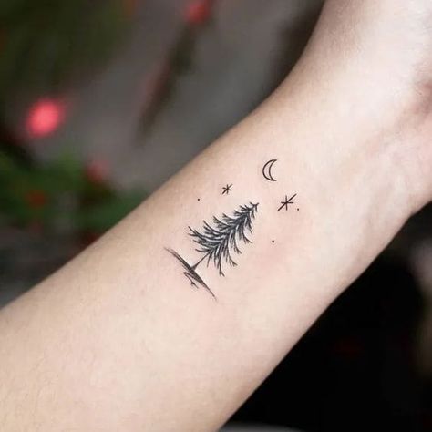 50+ Tree Tattoo Ideas With Great Meanings Behind Tiny Evergreen Tree Tattoo, Trees And Stars Tattoo, Sitka Tree Tattoo, Dainty Pine Tree Tattoo, Tree Ankle Tattoos For Women, Simple Willow Tree Tattoo, Evergreen Branch Tattoo, Christmas Tree Tattoo Ideas, Winter Solstice Tattoo