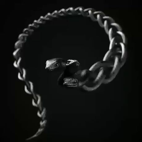 A Snake Wire Illusion Gif, Tipografi 3d, Art Optical, Snake Art, Gif Animation, Illusion Art, A Snake, Whittling, 영감을 주는 캐릭터