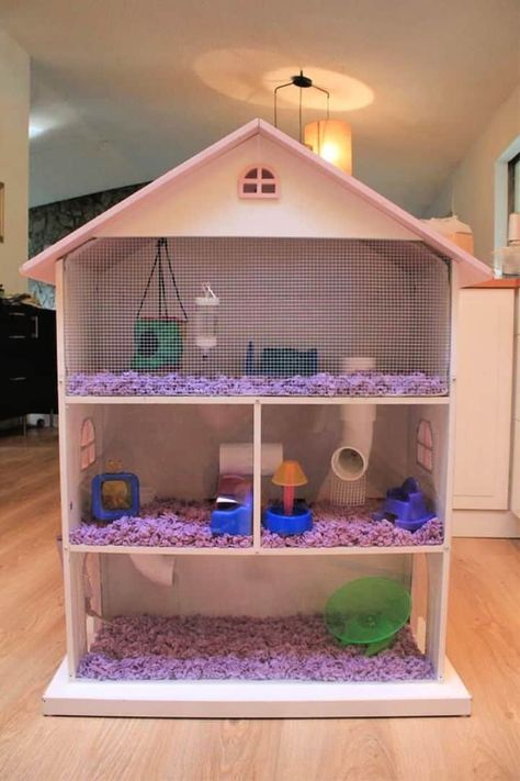 20 Homemade DIY Guinea Pig Cage Ideas To Build Your Own Kandang Hamster, Rabbit Houses, Hamster Diy Cage, Chinchilla Care, Hedgehog Cage, Gerbil Cages, Diy Guinea Pig Cage, Hamster Stuff, Mouse Cage