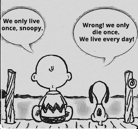 The Peanuts Aesthetic, Peanut Quotes, Peanuts Snoopy Quotes, Ernie Und Bert, Peanuts Quotes, Snoopy And Charlie Brown, Snoopy Cartoon, Snoopy Wallpaper, Snoopy Quotes