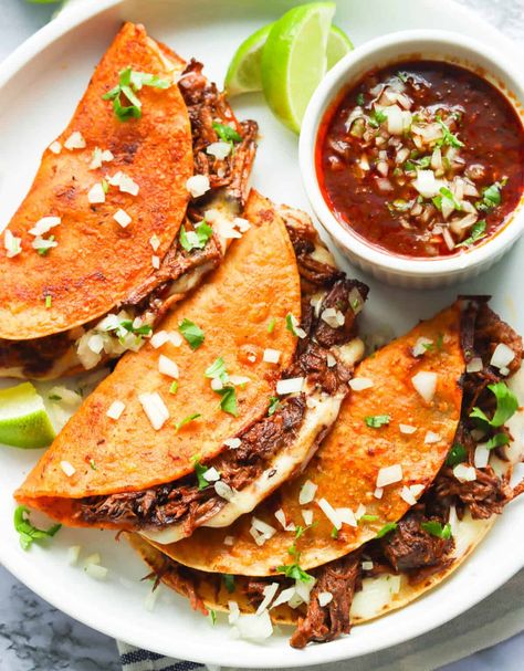 Beef Birria Tacos Recipe - Immaculate Bites Beef Bria Tacos, Bria Tacos, Taco Photography, Birra Tacos, Beef Birria Tacos, Street Food At Home, Birria Ramen, Beef Birria, Birria Tacos