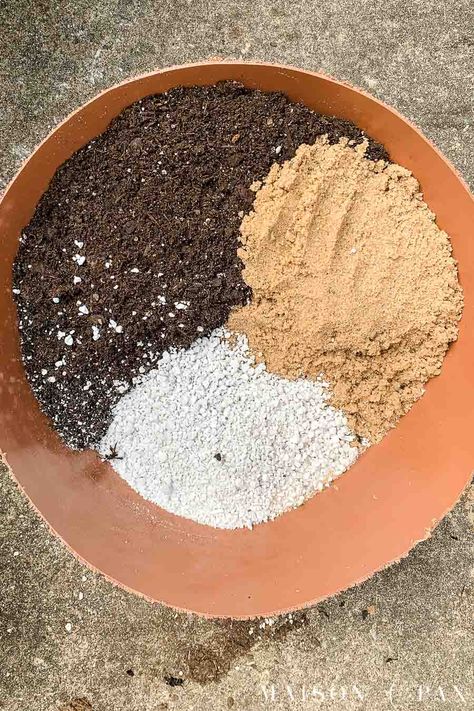 Succulent Mix Soil, Diy Succulent Potting Soil, Diy Succulent Soil Recipe, Outdoor Potted Succulents, Pot Of Succulents, How To Plant A Succulent, Succulent Plants Ideas, Potting Succulents Ideas, What To Plant Succulents In