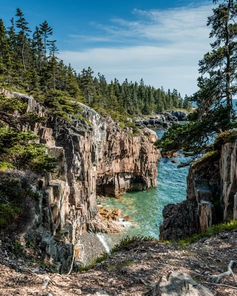 National Parks East Coast, Arcadia National Park Maine, Maine Acadia National Park, Acadia National Park Summer, Acadia National Park Aesthetic, Acadia Aesthetic, Arcadia Maine, Maine National Park, Arcadia National Park