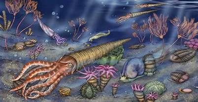 paleozoic era - Yahoo Image Search Results Precambrian Era, Sea Murals, Barton Springs, In The Beginning God, Dinosaur Pictures, Prehistoric World, Paleo Art, Curious Creatures, Underwater Life