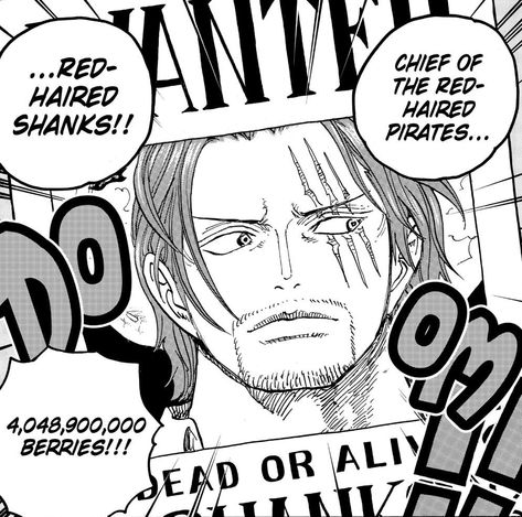 Shanks Bounty, Shanks Manga, Red Hair Shanks, One Piece Chapter, No Context, Neko Cat, Anime Wall Art, Nico Robin, Cartoon Jokes