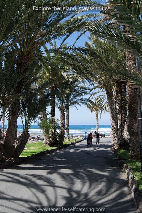 Tenerife Playa De Las Americas Beach, Tenerife Beaches, Canary Islands Tenerife, Experience Life, Island Fashion, Tropical Destinations, 2023 Vision, Island Art, The Tourist