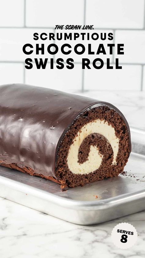 Chocolate Swiss Roll Cake