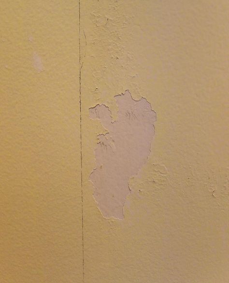 Painting Over Wallpaper Glue: Be Sure to Do This First! | Driven by Decor Removing Old Wallpaper From Plaster, Removing Wallpaper Glue Residue, Remove Wallpaper Glue, Wallpaper Repair, Clean Wallpaper, Removing Wallpaper, Painting Over Wallpaper, Removing Old Wallpaper, Hanging Wallpaper