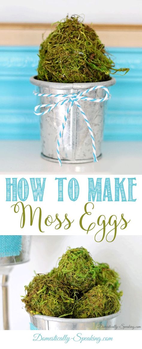 How to Make Moss Eggs | Easy DIY Easter Decor | Spring Craft Ideas Easy Diy Easter Decor, Moss Projects, Spring Craft Ideas, Easter Craft Activities, Diy Easter Decor, Fun Easter Crafts, Farmhouse Easter, Christmas Decorations Garland, Spring Craft