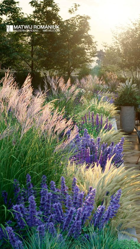 Austin Tx Landscaping, Zone 11 Landscaping, Zone 5 Landscaping, Ornamental Grass Landscape, Garden Patio Decor, Starting A Vegetable Garden, Grasses Landscaping, Front Landscaping, Grasses Garden