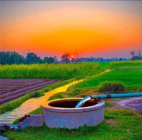 Farming Photo, Awsome Pictures, Photos Wallpaper, Decent Wallpapers, Photoshop Backgrounds Backdrops, Best Nature Images, Punjab Pakistan, Nature Background Images, Blurred Background Photography