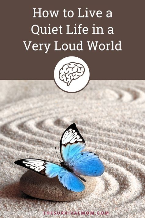 How to Live a Quiet Life in a Very Loud World Living A Quiet Life, Mind Your Own Business Quotes, Live A Quiet Life, Quiet Living, Loud People, A Quiet Life, Mind Relaxation, Feeling Inadequate, Minding Your Own Business