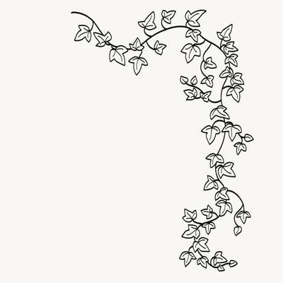 Ivy Border Vector Art, Icons, and Graphics for Free Download Vintage Vine Illustration, Ivy Vine Tattoo Stencil, Ivy Vines Drawing Simple, Ivy Line Tattoo, Ivy Pattern Design, Ivy Line Drawing, Vines Line Art, Grape Vine Drawing Simple, English Ivy Drawing