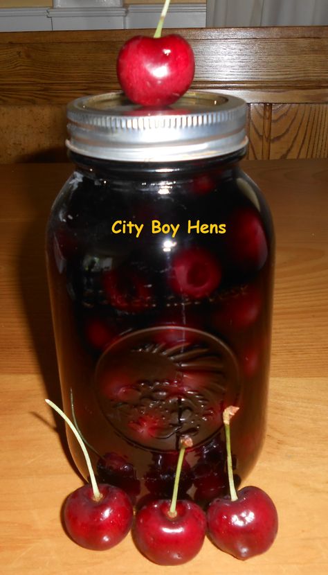 009 Vodka Cherries, Pickle Drinks, Drunken Cherries, Pickle Vodka, Infused Liquors, Homemade Alcohol, Cherry Vodka, Homemade Liquor, Liquor Recipes