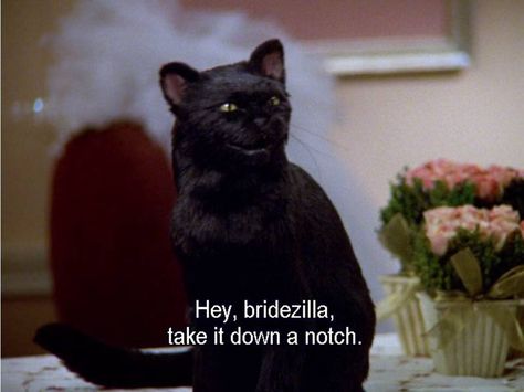 Bridezilla Sabrina the Teenage Witch Salem Saberhagen, Salem Cat, Some Love Quotes, Series Quotes, Sabrina Spellman, Film Quotes, Tv Quotes, Cat Quotes, Archie Comics