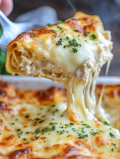 Creamy Chicken Lasagna Chicken Ravioli Lasagna, Chicken Fettuccine Lasagna, Creamy Chicken And Broccoli Lasagna, Chicken Florentine Lasagna, Award Winning Casseroles, Creamy Chicken Lasagna Recipe, Marry Me Chicken Lasagna, Rotisserie Chicken Lasagna Recipes, Dinner For 7 People