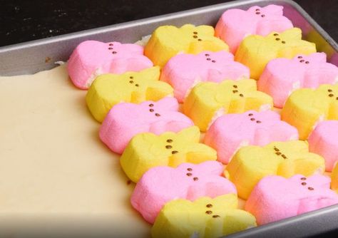 How to make adorable Peeps cookie bars for Easter Peeps Easter Desserts, Easter Brownies With Peeps, Easter Sugar Cookie Bars, Peep Cookies Decorated, Peeps Dessert Ideas, Desserts With Peeps, Peep Cookies, Poke Hole Cake, Peeps Cookies