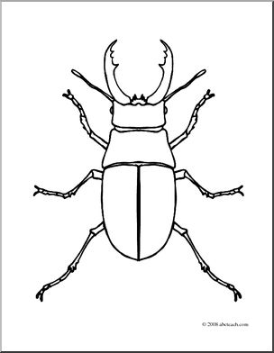 Beetle Drawing, Rhino Beetle, Stag Beetle, Bugs And Insects, Art Plastique, Mosaic Art, Bugs, Okay Gesture, Activities For Kids