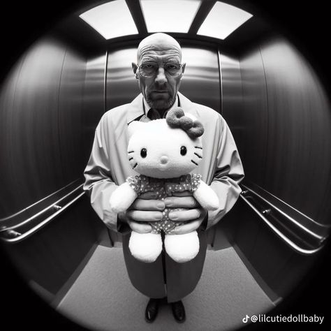 Hello Kitty Elevator Pfp, Pfps Fisheye, Fisheye Pfps, Cats Pfp, White Hello Kitty, White Pfp, Mc Wallpaper, Best Wallpaper Hd, Hello Kitty Characters