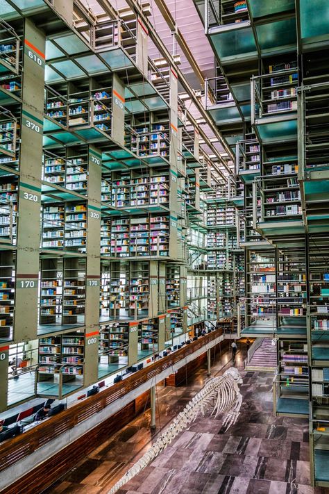 Quick Look: Biblioteca Vasconcelos, Mexico City | Brad A. Johnson Mexico City Library, Mexico Architecture, Book Architecture, Library Aesthetic, City Library, City Vacation, Interior Rendering, Natural Ventilation, México City