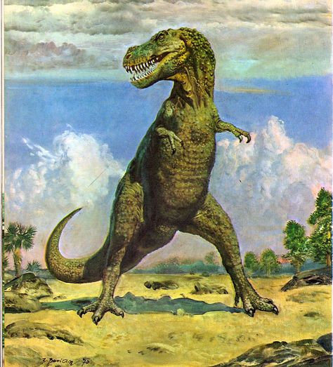 Love in the Time of Chasmosaurs: Vintage Dinosaur Art: Life before Man - Part 1 Prehistoric Wildlife, Dinosaur Drawing, Dinosaur Illustration, Prehistoric World, Ancient Animals, Prehistoric Art, Paleo Art, Extinct Animals, Dinosaur Art