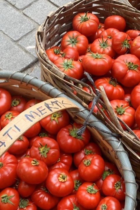 Sorrento Food Tours -- Summer bucket list 2024 Summer list Beautiful places to travel Dream vacation Travel goals Travel Vacation picture Travel Destinations Things to do in the summer Italian style 2024 Italian summer 2024 Italian fashion 2024  Mediterranean fashion style Greece fashion European summer aesthetic Italian summer outfit Aesthetic Women's clothes Women fashion Fashion designer Candid style Women's style  Trends 2024 Aesthetic pictures Currently wearing Old money aesthetic Tuscan Summer Aesthetic, Tomato Aesthetic, Old Italian Aesthetic, Tomato Party, Mediterranean Fashion, Sicilian Summer, Italian Summer Aesthetic, Picture Travel, Summer Outfit Aesthetic