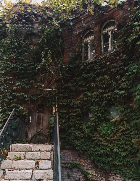 Ivy Building Aesthetic, Ivy House Aesthetic, Buildings Covered In Plants, Ivy Plant Aesthetic, Old Garden Aesthetic, Jacobean Aesthetic, Dark Forest Academia, Abandoned Buildings Aesthetic, Ivy Covered House