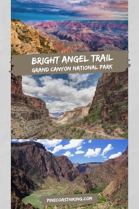 how to hike the bright angel trail at the grand canyon, hiking to the bottom of the grand canyon, hiking the bright angel trail, bright angel trail grand canyon, phantom ranch gran canyon, mather campground gran canyon, desert view campground grand canyon, havasupai gardens grand canyon, indian gardens campground grand canyon, what to wear hiking to the bottom of the grand canyon, hiking safety grand canyon, best hikes at the grand canyon Bright Angel Trail, Arizona Road Trip, Hiking National Parks, Park Trails, California National Parks, Hiking Tips, The Grand Canyon, Grand Canyon National Park, Best Hikes