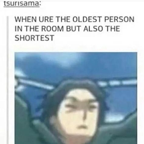 Spoiler bro! on Instagram: “.” Attack On Titan Meme, Aot Funny, Aot Memes, Attack On Titan Funny, Attack On Titan Levi, Anime Meme, Eren Jaeger, Attack On Titan Anime, Funny Anime Pics