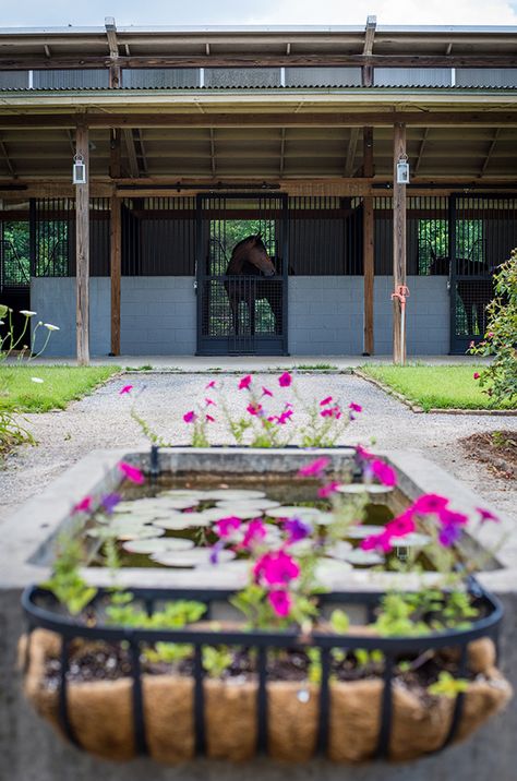 Style Inspiration for your Stable Stable Courtyard, Stone Stables For Horses, Stone Horse Stable, Small Holding, Equestrian Estate Horse Farms, Aiken South Carolina, Equestrian Barns, Stable Style, Barn Stalls