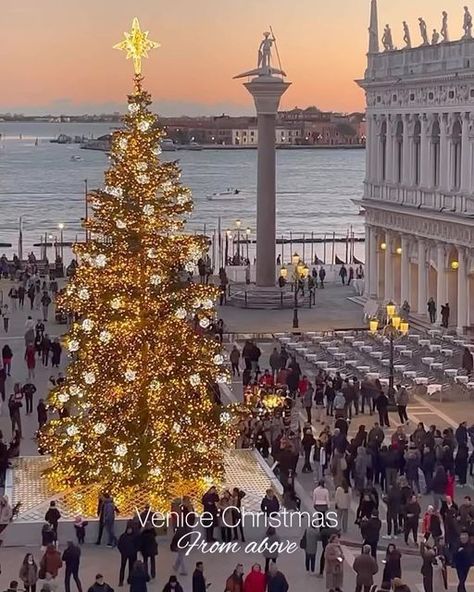 Venice 🇮🇹 Venezia Travel | Hotels | Food | Tips on Instagram: "In the heart of Venice, Christmas unfolds like a fairytale!!🌟🇮🇹🎅🏻 🏷️Tag someone who wants to visit Italy soon!❤️‍🔥 🎥: @claudia_mimejorvenecia (TT) 📍: Venice, Italy." Venice Christmas Market, Venice Christmas, Christmas In Venice, Italy Holiday Destinations, Italy In November, Venice Italy Photography, Italy Winter, Christmas In Italy, Italian Life