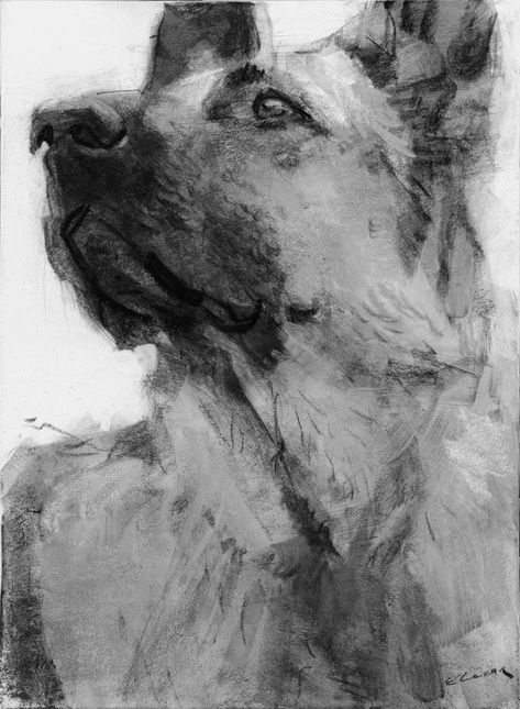 Charcoal Animal Drawings, Drawings Sketches Pencil, Art Worksheets Printables, Inspirational Drawings, Charcoal Artwork, Charcoal Paper, Dog Portraits Art, Art Charcoal, Animals And Birds