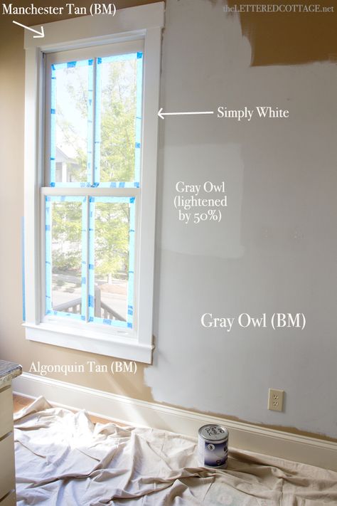 Benjamin Moore Gray Owl, Gray Owl Paint, Benjamin Moore Grey Owl, Interior Paint Colors For Living Room, Repose Gray Sherwin Williams, Light Grey Paint Colors, Benjamin Moore Gray, Interior Paint Colors Schemes, Light Gray Paint