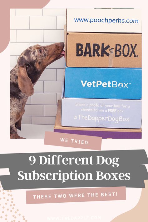 Best Dog Subscription Box Pet Subscription Boxes, Dog Subscription Boxes, Animal Branding, Cleaning Packaging, Dog Brands, Holistic Dog Care, Popular Dog Names, Dog Gift Box, Dog Remedies