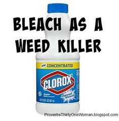 Bleach | Homemade Weed Killer To Stop Weeds In Their Tracks Natural Plant Fertilizer, Kill Weeds Naturally, Killing Weeds, Kill Weeds, Garden Remedies, Benefits Of Gardening, Garden Weeds, Proverbs 31 Woman, Garden Yard Ideas