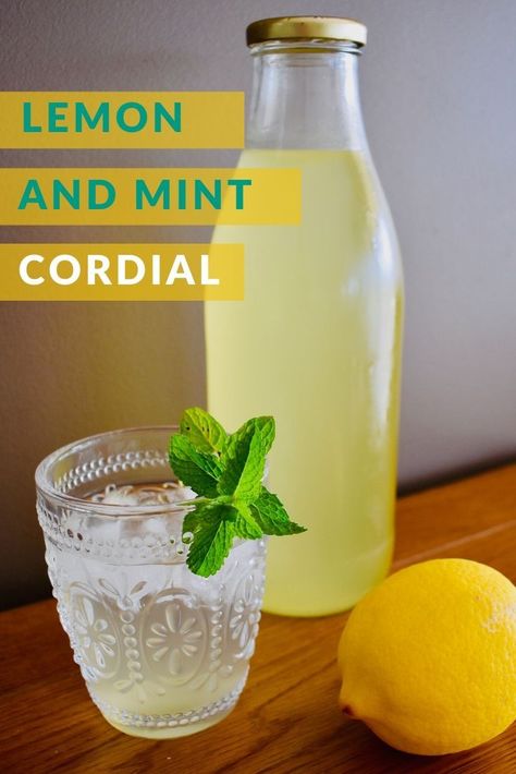 A beautiful refreshing drink for long, hot summers. #oldfashionedcordial #cordialrecipe Cordial Recipes, Julep Recipe, Cordial Recipe, Mint Drink, Lemon And Mint, Lemon Cocktail, Summer Drinks Alcohol, Mint Lemonade, Strawberry Mint